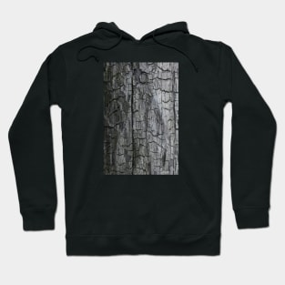 Charred wood texture Hoodie